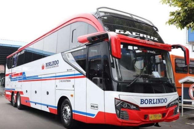 Melihat Kemewahan Bus Skylander PO Borlindo dengan Mesin Volvo