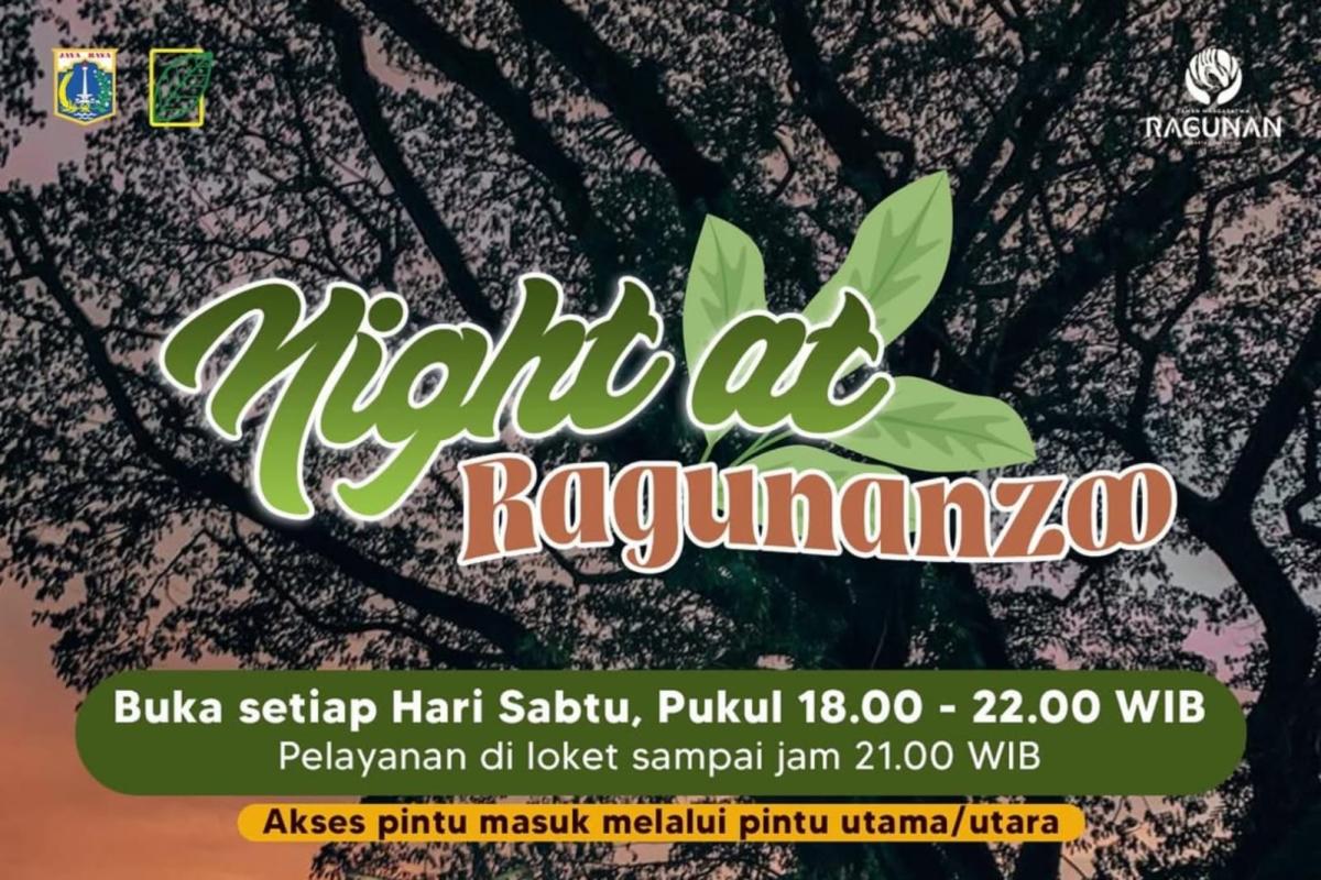 Taman Margasatwa Ragunan Buka Hingga Malam, Lihat Satwa Nokturnal dari Dekat