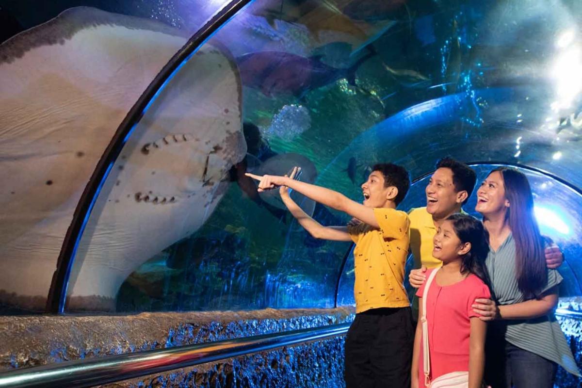 Acara Seru Ancol di Bulan Oktober, dari Zombie Dufan sampai Budaya Internasional 