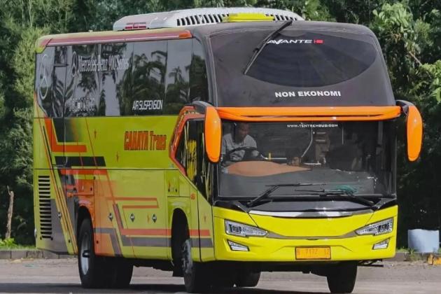 Bus Cahaya Trans Jadi Sorotan Usai Kecelakaan Maut, Ini Fakta Lengkapnya