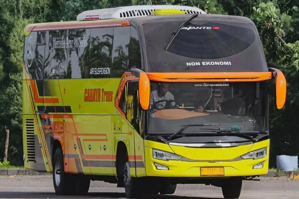 Bus Cahaya Trans Jadi Sorotan Usai Kecelakaan Maut, Ini Fakta Lengkapnya