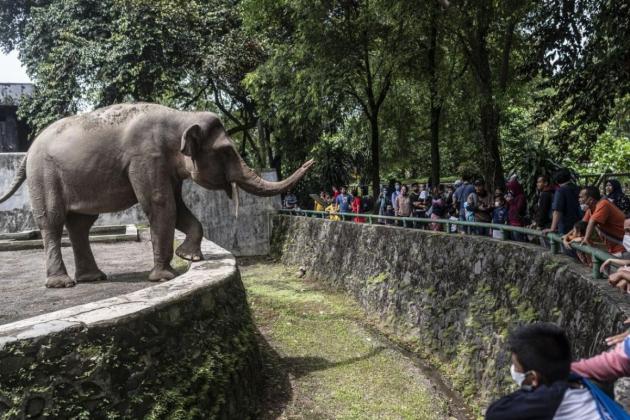 Libur Nataru Ragunan Buka Lebih Pagi !! Ini Jadwal Operasional Terbarunya