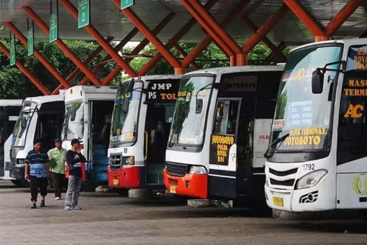 Tips dan Trik Aman Dari Calo Tiket Bus di Terminal, Nomor 4 Paling Penting