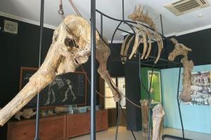 Isi Pameran Museum Sangiran (Tuahta Aldo / fin.co.id)