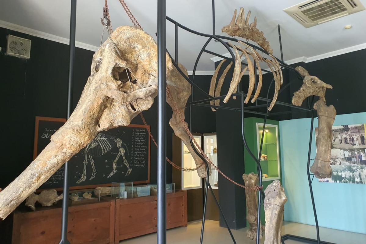 Isi Pameran Museum Sangiran (Tuahta Aldo / fin.co.id)