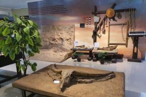 Isi Pameran Museum Sangiran (Tuahta Aldo / fin.co.id)