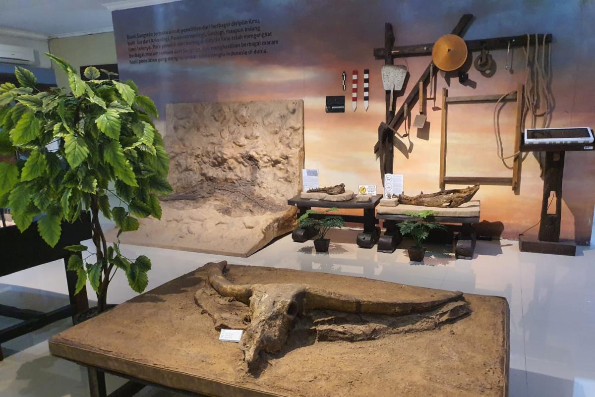Isi Pameran Museum Sangiran (Tuahta Aldo / fin.co.id)