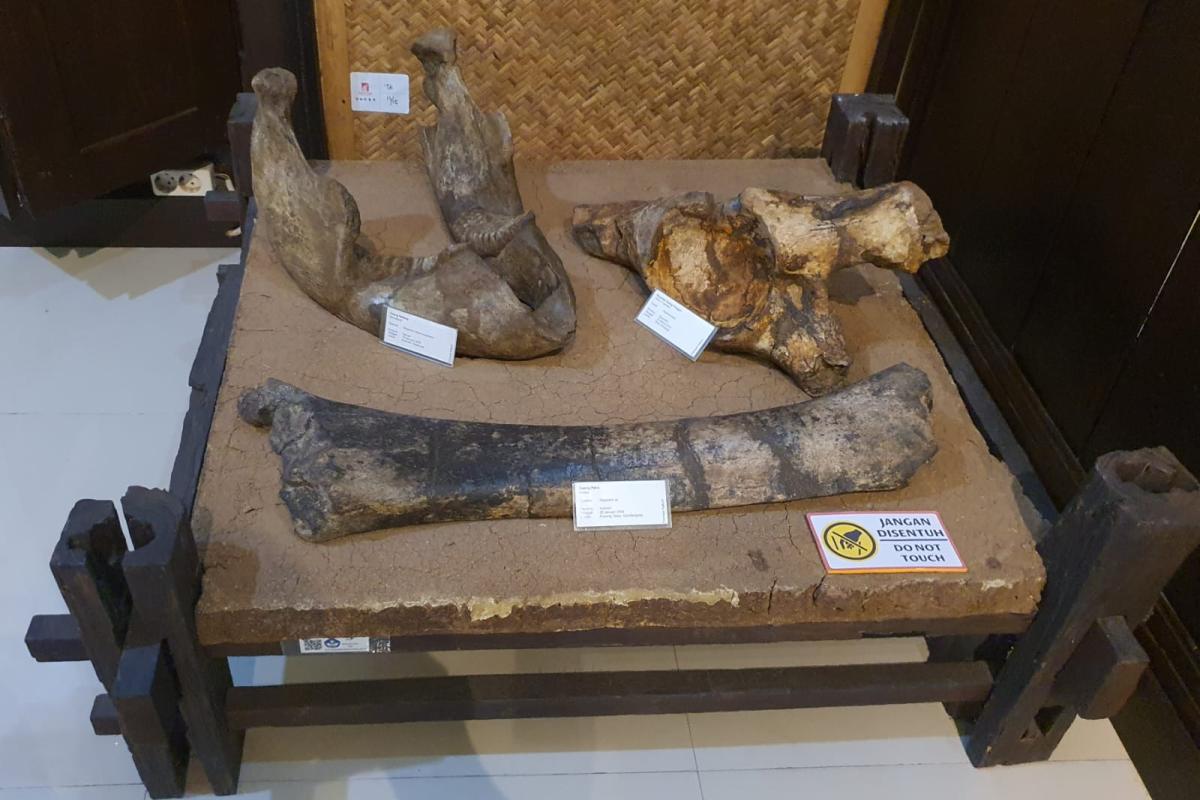 Isi Pameran Museum Sangiran (Tuahta Aldo / fin.co.id)
