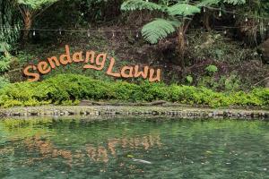 Wisata Indah dan Sejuk di Lereng Lawu, Sendang Lawu Bisa Jadi Pilihan Utama
