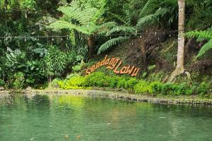 Kawasan wisata Sendang Lawu (Tuahta Aldo / fin.co.id)
