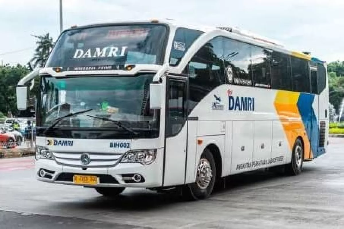 Gebrakan Awal Februari 2026 !! Perum DAMRI Banjir Promo Untuk Penumpang 