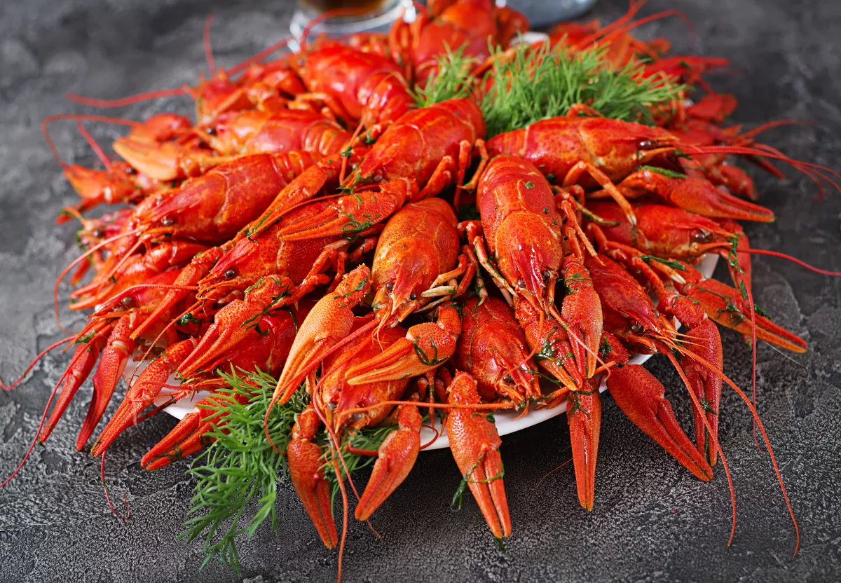 Pantangan Makanan Saat Imlek, Masih Relevan atau Sekadar Mitos? Cek Faktanya!