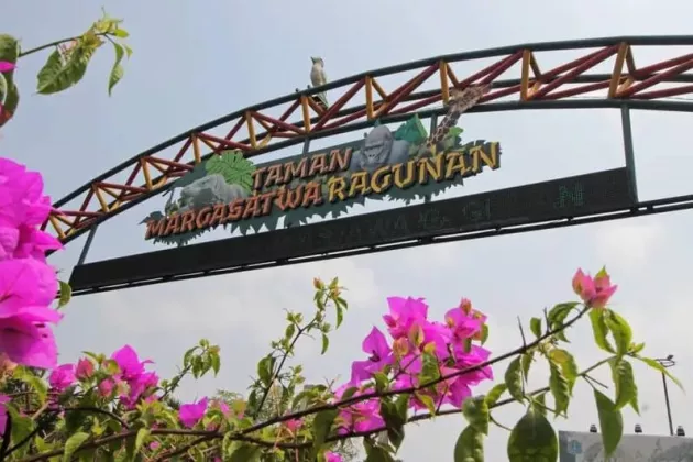 Manfaatkan Waktu Libur Lebaran, Ragunan Dipadati Pengunjung Sejak Pagi