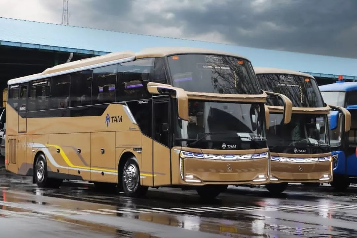 PO TAM Rilis Bus Mewah Terbaru !! Kabin Nyaman dengan Kursi Sleeper di Depan