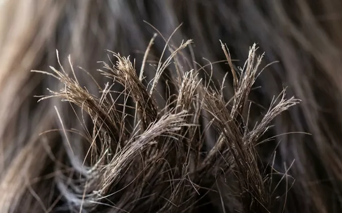 Solusi Rambut Bercabang Tanpa Harus Dipotong Pendek, Wajib Coba!