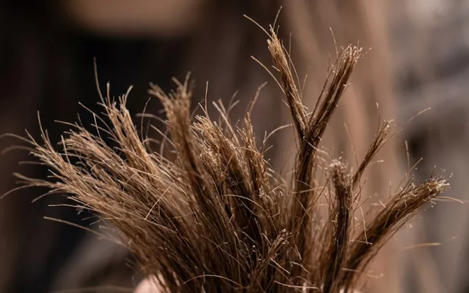 Penyebab Rambut Bercabang dan Cara Mengatasinya Agar Tetap Sehat