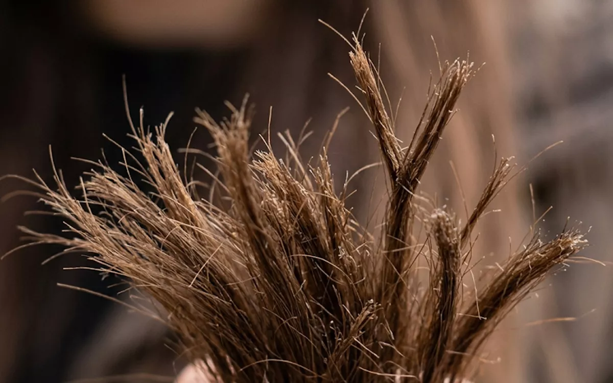 Penyebab Rambut Bercabang dan Cara Mengatasinya Agar Tetap Sehat
