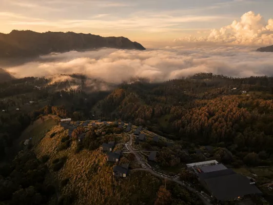 May Escape to the Highland, Sensasi Menginap Tenang dan Instagramable di ARTOTEL Cabin Bromo