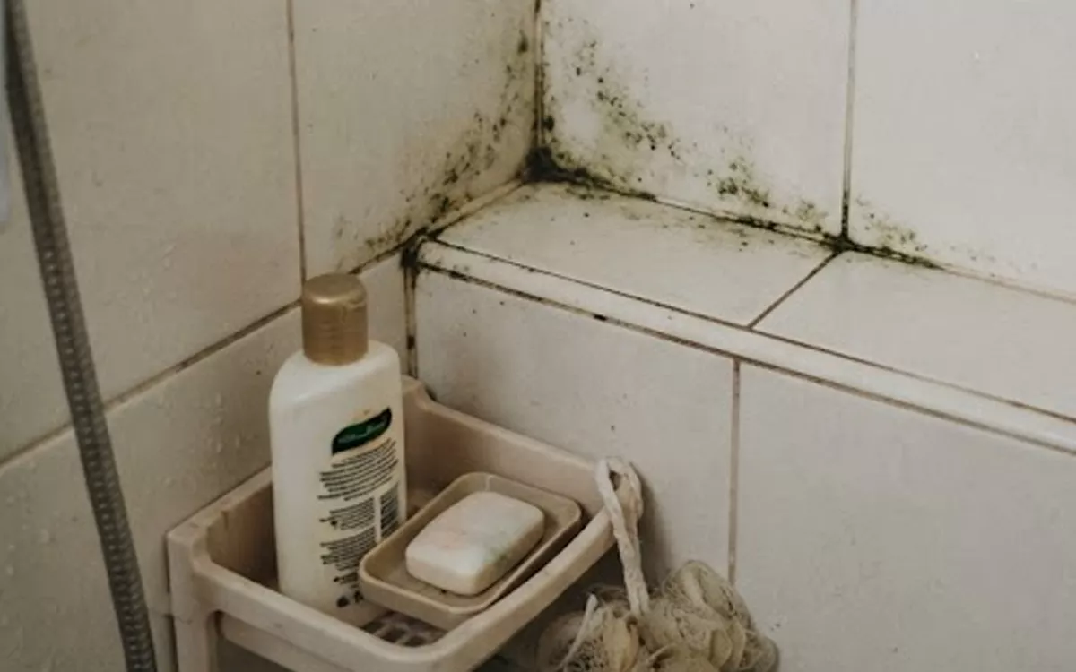 Bersih Seketika! Ini 4 Bahan Rumahan untuk Hilangkan Lumut di Kamar Mandi