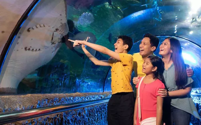 Promo Tiket Dufan September 2026: Harga Mulai Rp140 Ribu dan Voucher Makan