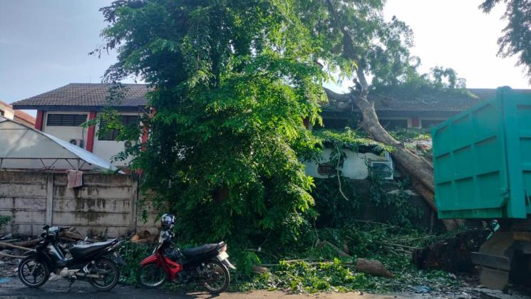 Pohon Tumbang Timpa SMPN 1 Kota Tangerang, Siswa Berhamburan Keluar Kelas