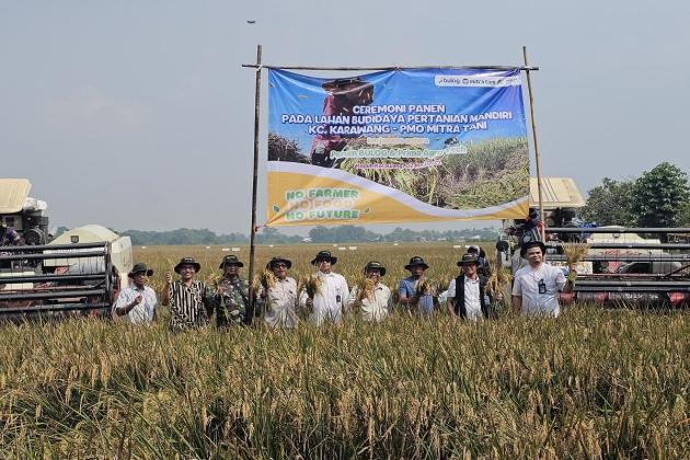 Bulog Gunakan Teknologi Biostimulan, Panen Padi di Karawang Meningkat
