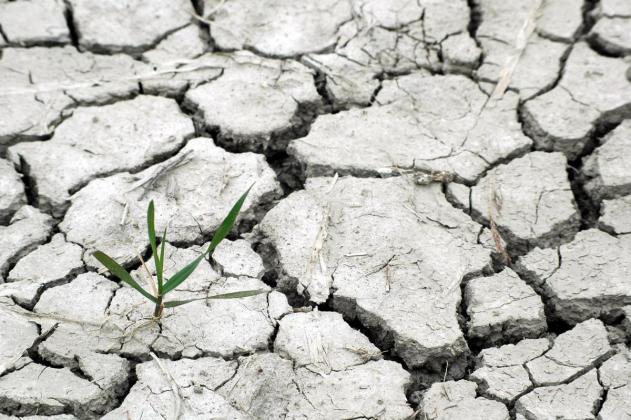 Musim Kemarau 2025: Waspada Dampak Kekeringan, Simak Prediksi dan Puncaknya