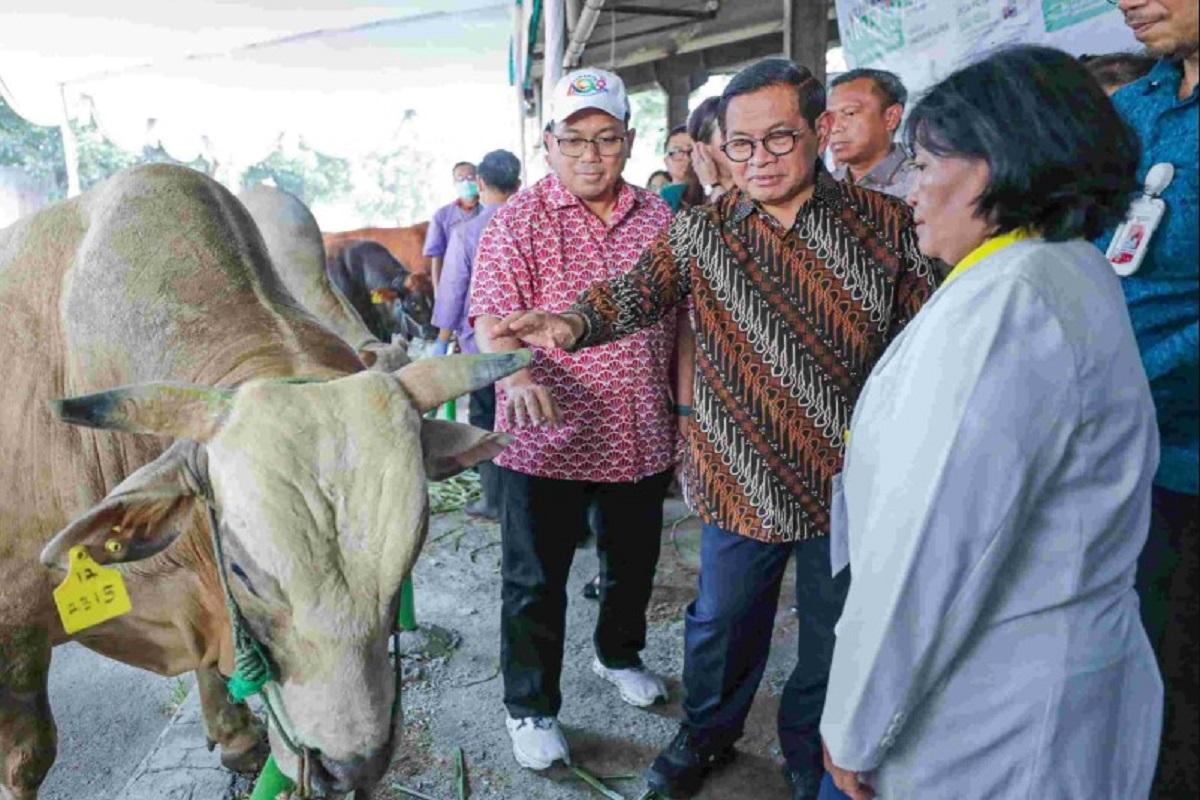 Pramono Pastikan Semua Hewan Kurban di Jakarta Bebas Penyakit