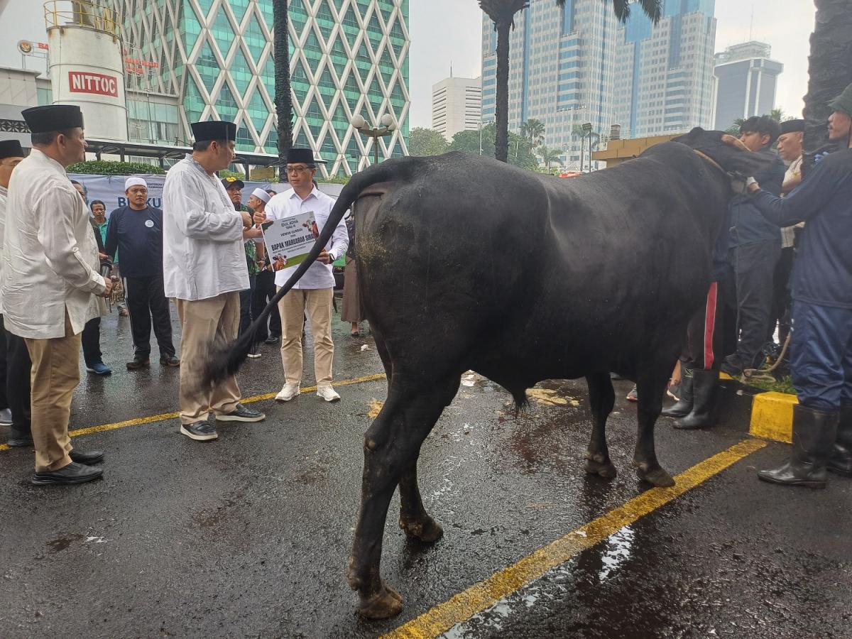 Berkah Idul Adha! Kementerian PKP Bagikan 10 Sapi Kurban ke Rusun dan Warga Sekitar