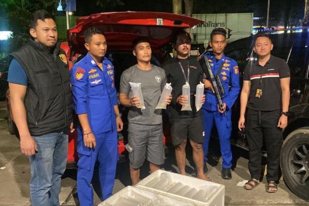 Polairud Polri Gagalkan Penyelundupan 11.543 Benih Lobster di Sukabumi, 2 Pelaku Diamankan