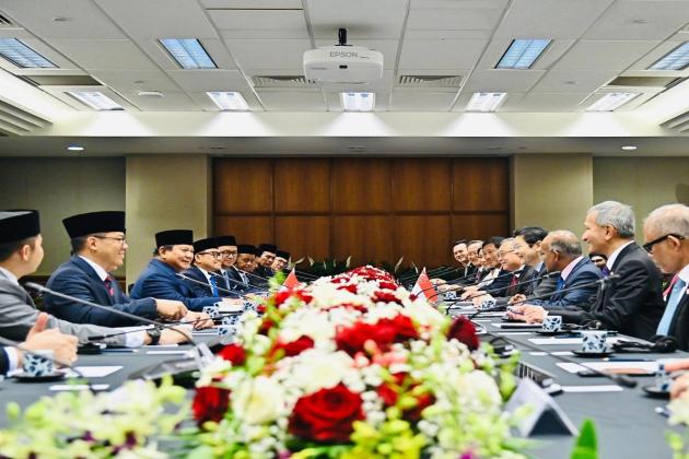 Presiden Prabowo Dorong Temasek dan Danantara Kembangkan Energi Hijau