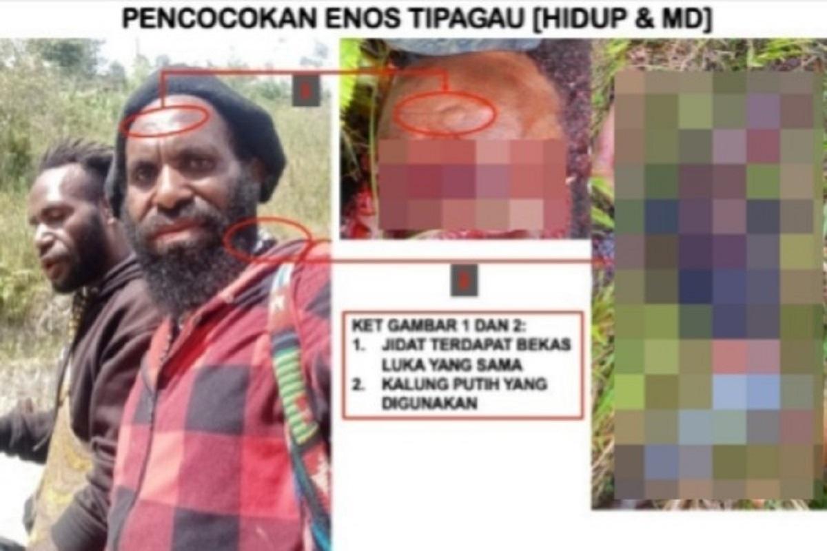 Baku Tembak dengan Satgas Ops Damai Cartenz, Komandan Operasi KKB Kodap VIII Tewas di Intan Jaya Papua