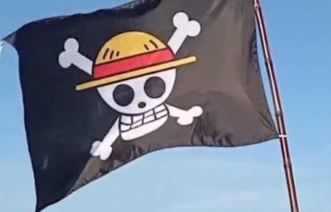  Simbol Luffy di Mana-Mana! DPR Wanti-wanti Ancaman Pemecah Bangsa