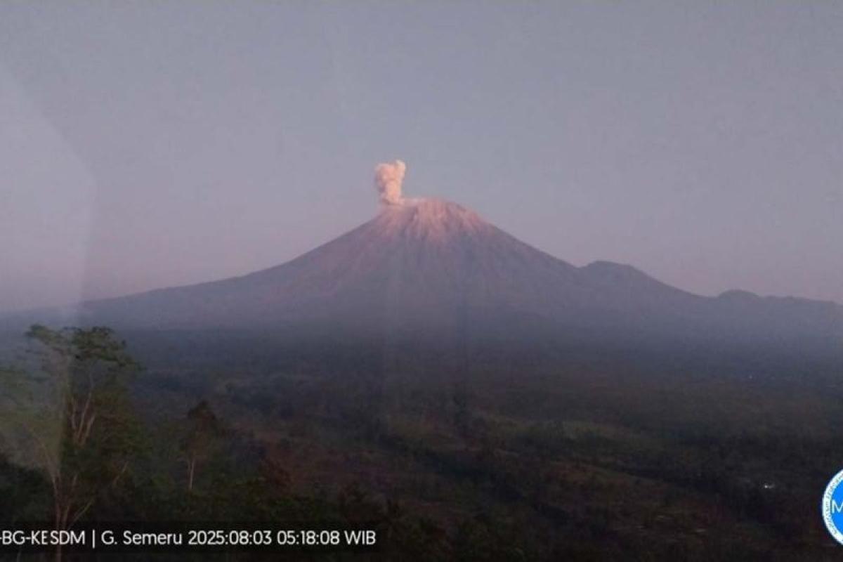 Gunung Semeru Erupsi 4 Kali Setinggi 900 Meter di Atas Puncak