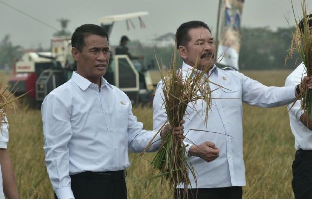 Jaksa Agung-Mentan Panen Raya Program Jaksa Mandiri Pangan