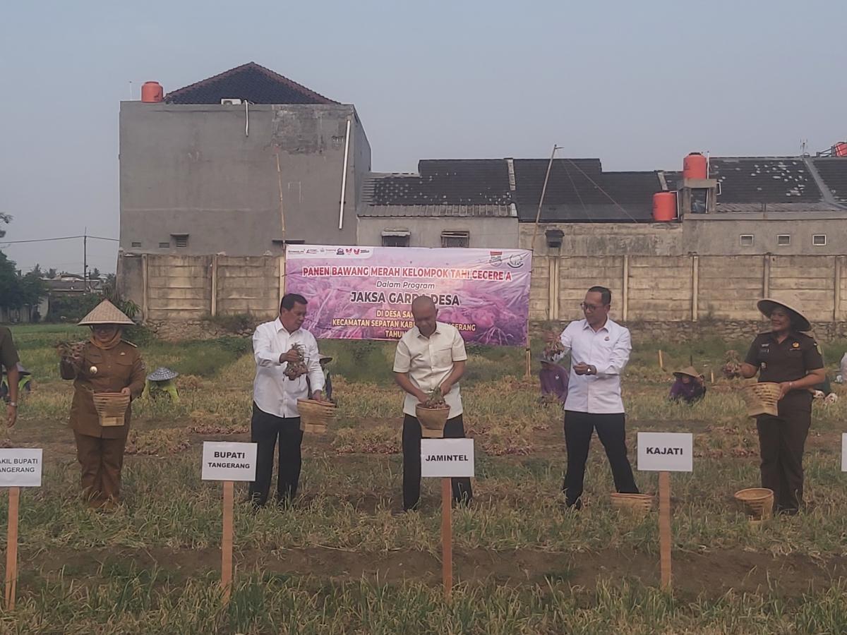 Panen Raya Bawang Merah di Sepatan, Sinergi Kejagung dan Pemkab Tangerang Hasilkan 9 Ton