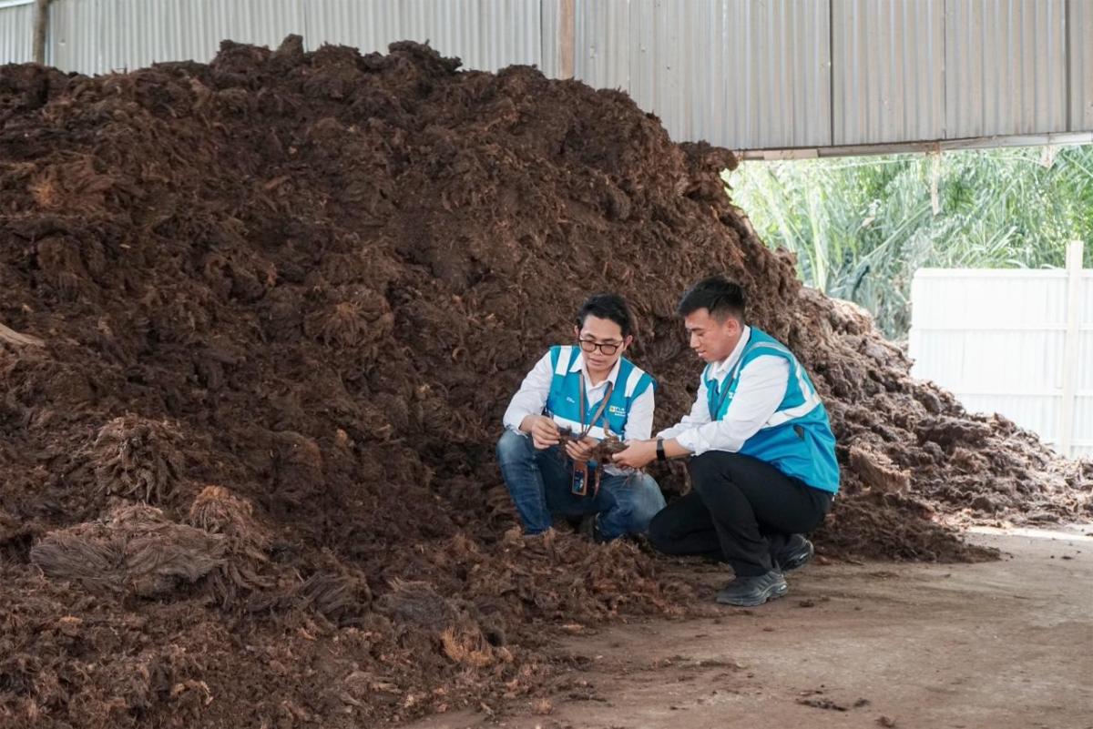PLN EPI Dorong Bioenergi Jadi Peluang Usaha Domestik dan Internasional