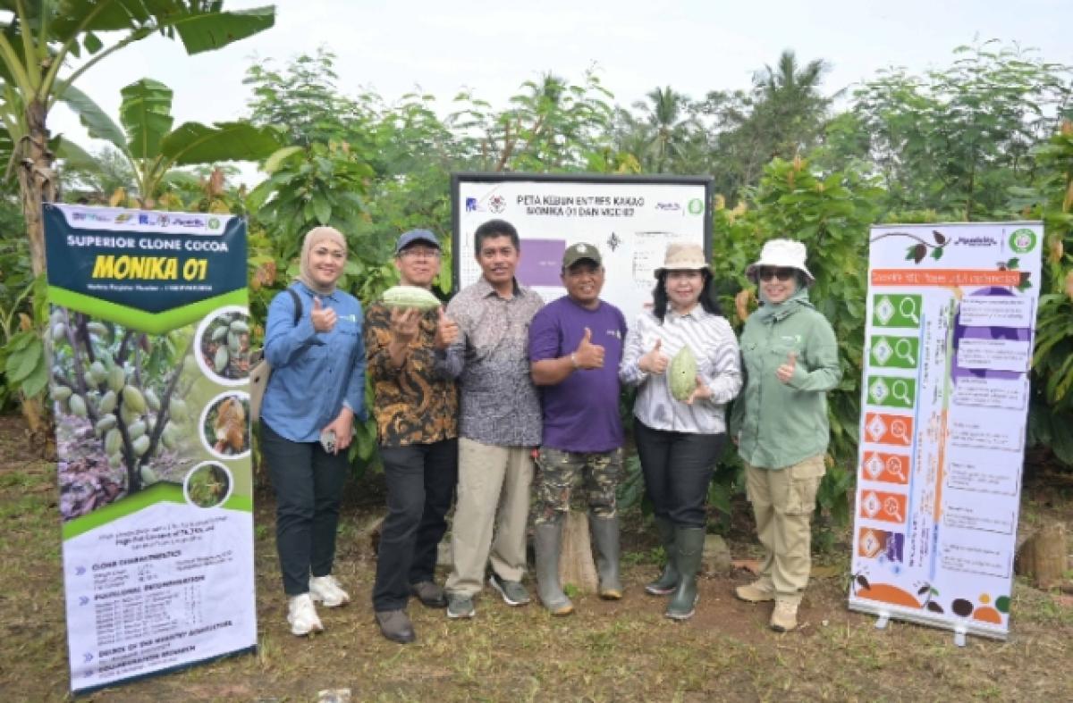 Cocoa Life Dorong Kakao Berkelanjutan di Lampung, Libatkan Puluhan Ribu Petani