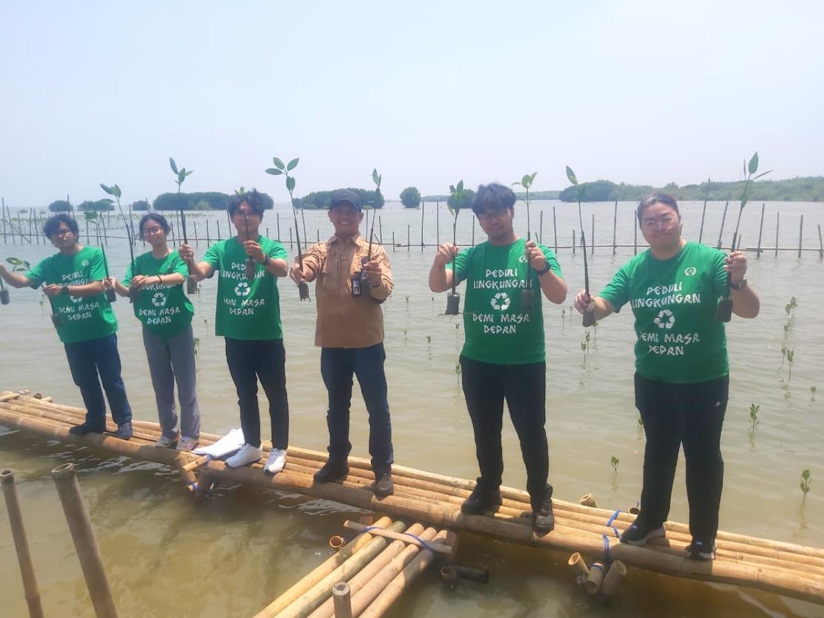 Lindungi Pesisir dari Abrasi, Panca Budi Idaman Tbk Tanam 200 Ribu Mangrove di Mauk Tangerang