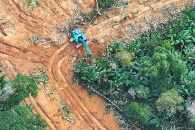 Kemenhut dan Satgas Penertiban Kawasan Hutan Hentikan Pembalakan Liar PT BRN di Mentawai