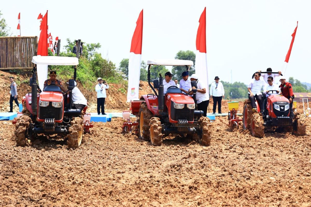 Program Ketahanan Pangan Polri Capai 1,19 Juta Hektare Lahan Jagung