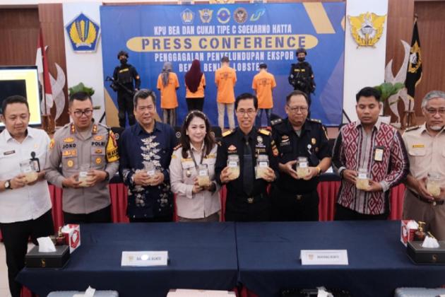 Bea Cukai Soetta Gagalkan Penyelundupan 172.611 Benih Lobster Senilai Rp5,17 Miliar