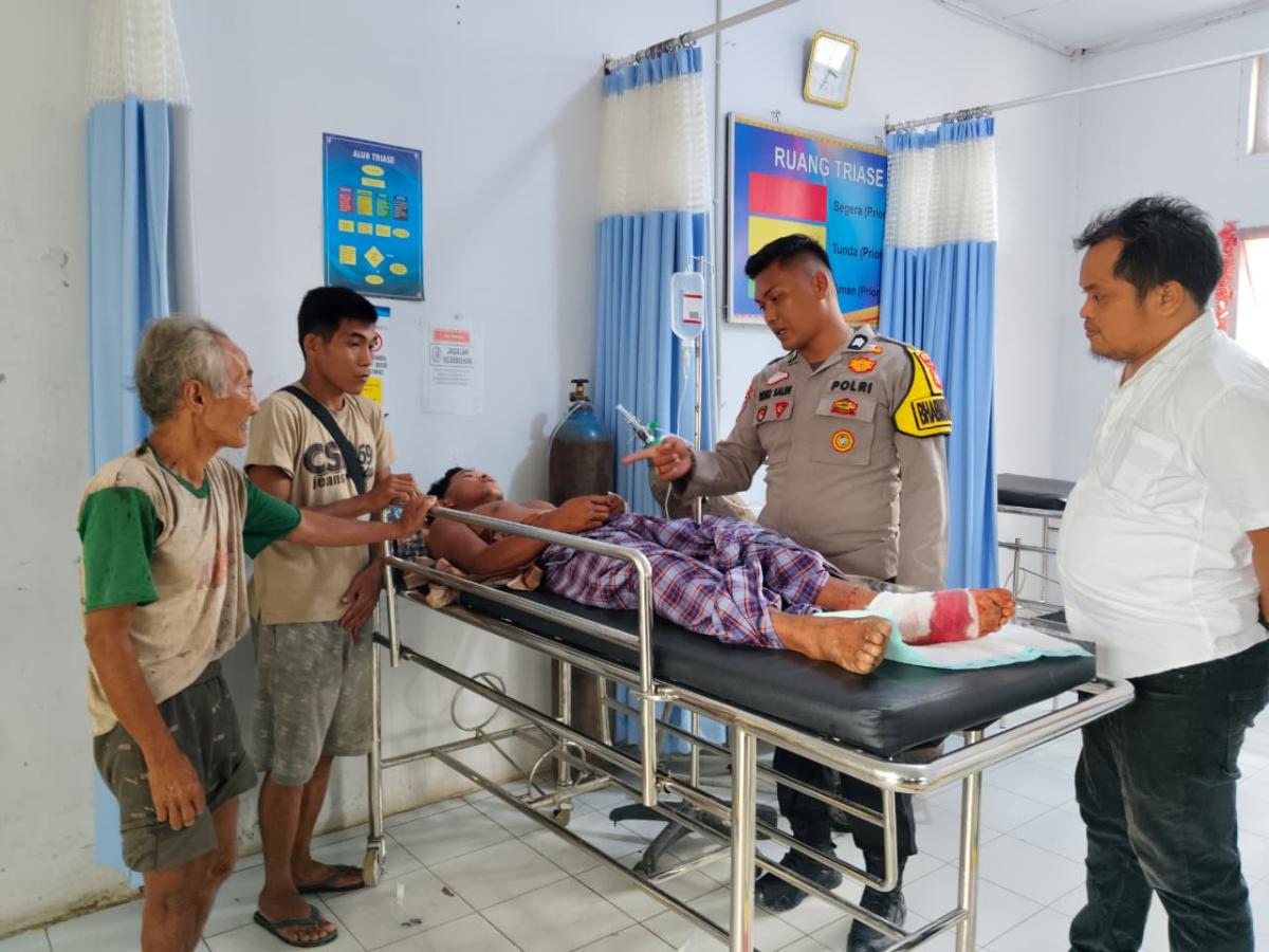 Pria Asal Riau Selamat Usai Duel dengan 3 Harimau