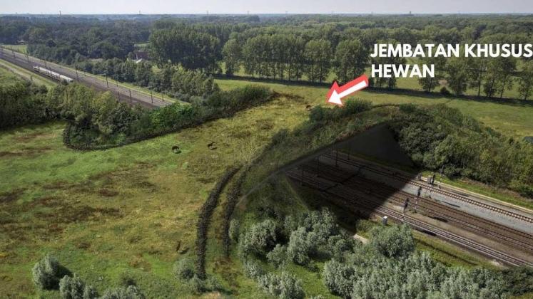 Tol IKN 3B Hampir Rampung, Simpang Susun Menuju Pelabuhan KKT Karang Joang Siap Jadi Akses Vital