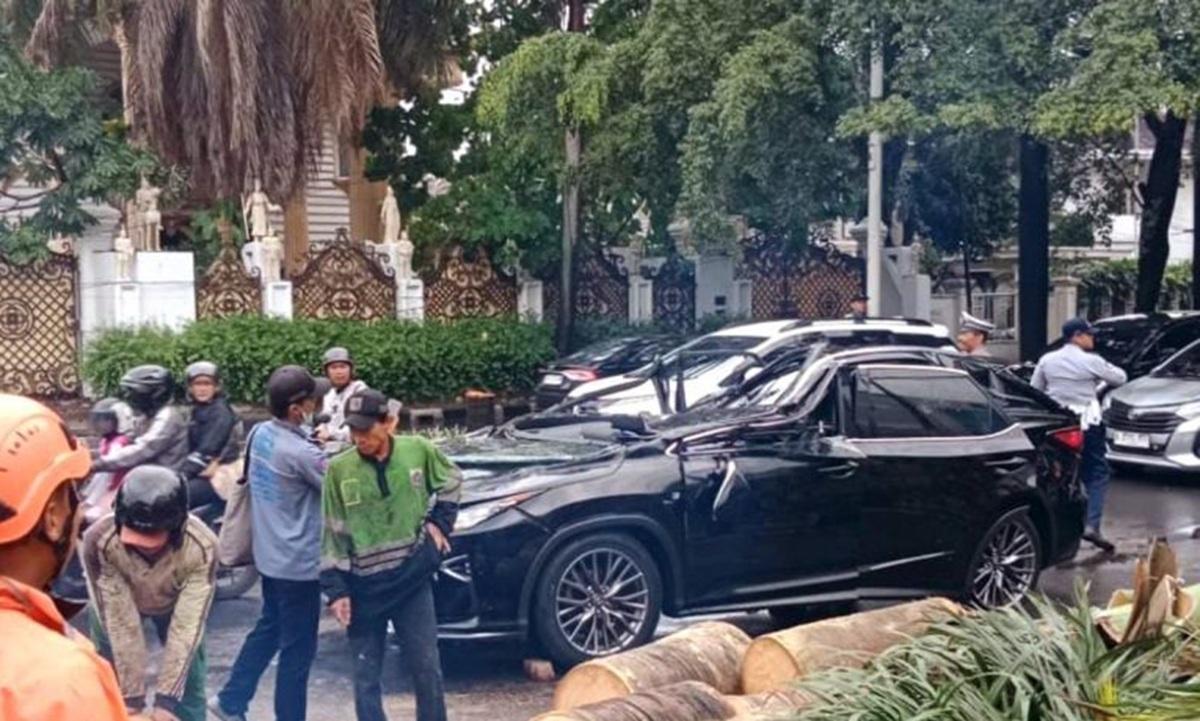 Kronologi Lengkap Pengemudi Lexus Tewas Tertimpa Pohon di Pondok Indah