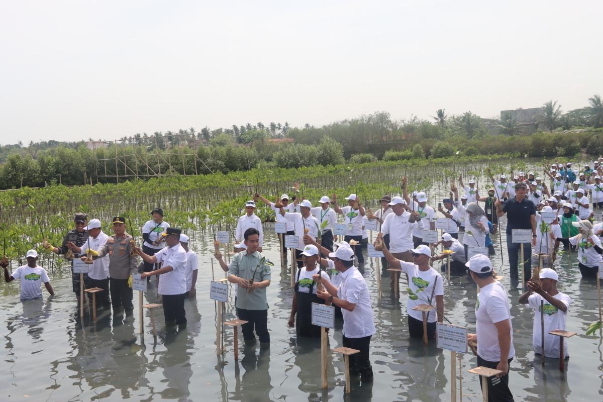 Menteri LH: Pemerintah Anggarkan Rp2 Triliun Untuk Rehabilitasi Mangrove