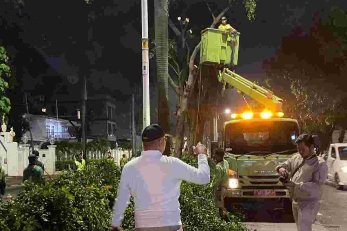 Pemprov DKI Peremajaan Pohon di Jalan Metro Pondok Indah demi Keamanan dan Estetika Kota