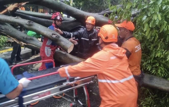 Pohon Tumbang Timpa 5 Mobil di Kebayoran Baru, Satu Tewas dan Satu Luka!