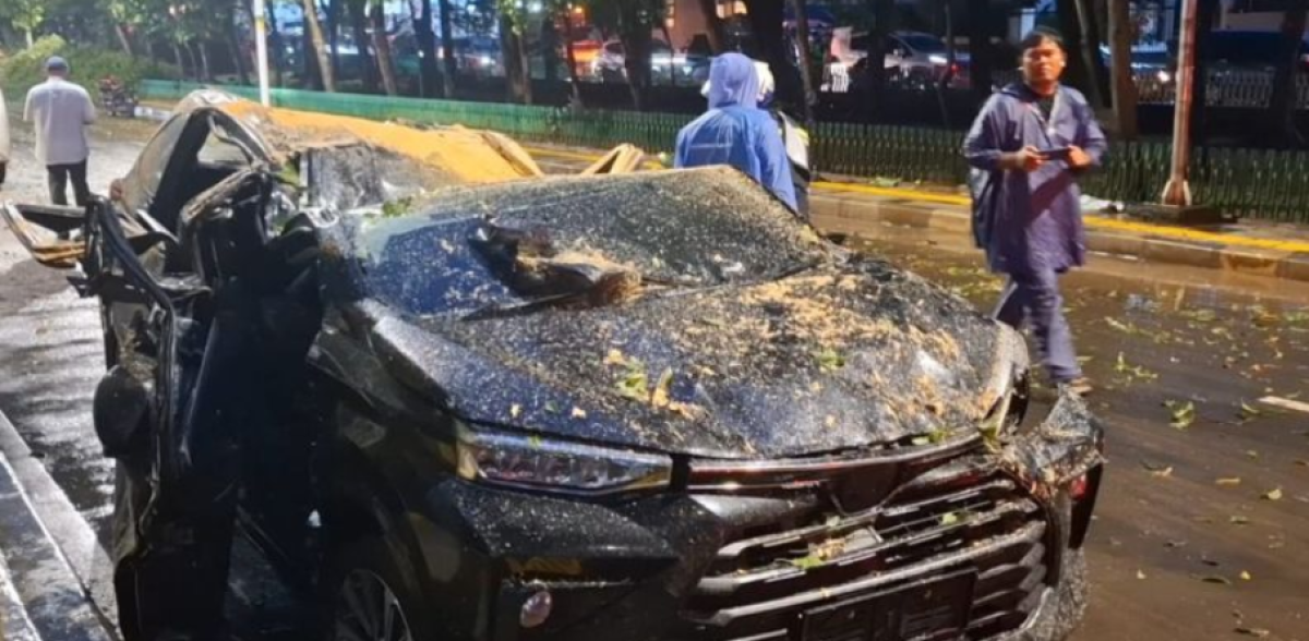Seorang Pria Tewas Tertimpa Pohon Tumbang di Darmawangsa Saat Hujan Deras