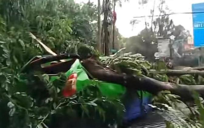 Klaim Asuransi Korban Pohon Tumbang di Tangerang, Segini Cairnya
